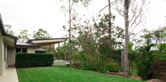 Caring For Your Trees in Winter