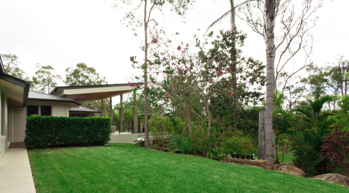 Caring For Your Trees in Winter