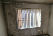 Protecting Your Home and Loved Ones from Mould Infestation