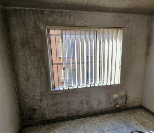 Protecting Your Home and Loved Ones from Mould Infestation